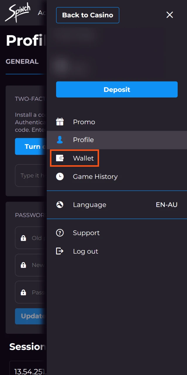 You can withdraw money from Spinch using your wallet.